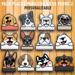PACK 12 DOG COLLAR TAGS 2