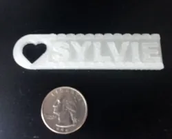 Personalized Sylvie Keychain / Tag