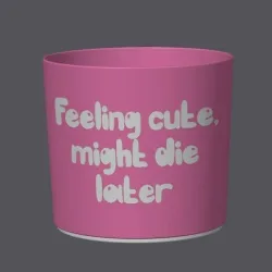 Punny Planter 15 - Feeling cute, might die later