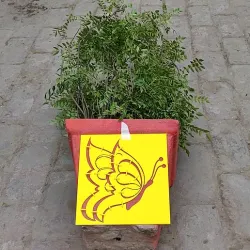 Reusable 3D Print Butterfly Stencil for Wall Painting