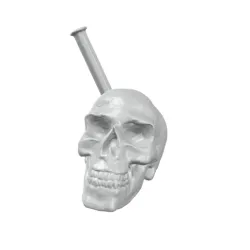 Skull Broken