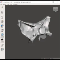 sphenoid bone - sphenoid bone