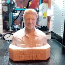 The Last Of Us JOEL