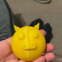 Toothbrush Cover