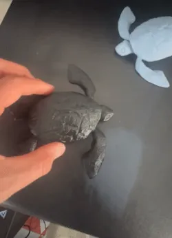 TORTUE ARTICULÉE - Articulated Sea Turtle