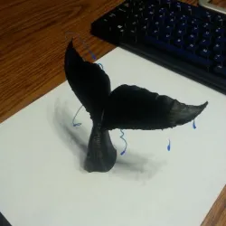 WhaleTail