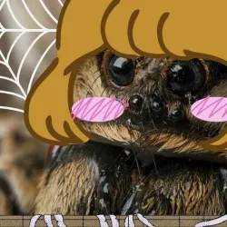 2D Wolf Spider