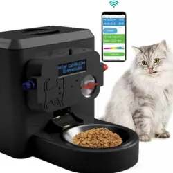 automatic feed dispenser for cats and pets