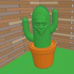Cactus Bic Buddy