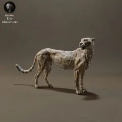 Cheetah