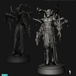 Cursed Elves 2.0 - Flesh Wizard