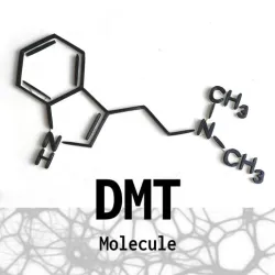 DMT Molecule