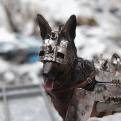 Fallout Dogmeat 3D print model