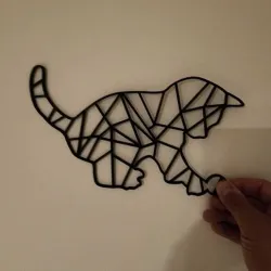 Geometric Cat