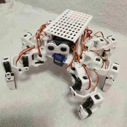 Hexapod robot, moving along a random route