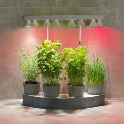 Hydroponic Planter/Grower - GreenGrowBox Nicole V2