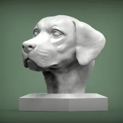 Labrador 3D print model