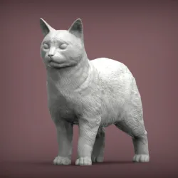 Manx cat 3D print model