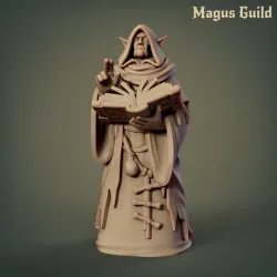 Old Woman Elf, Wizard - MG2.2