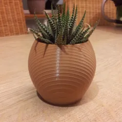 planter glass