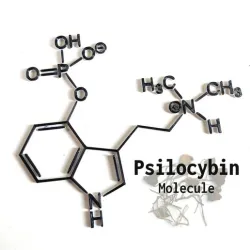 Psylocibin Molecule