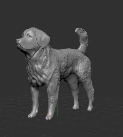 Pyrenean Mastiff