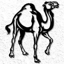 Realistic Camel Wall Art Desert Camel Wall Decor 2d
