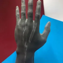 Realistic hand