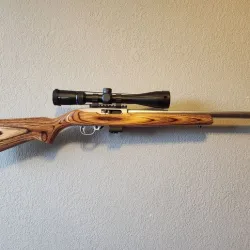 Ruger 10/22 wall mount