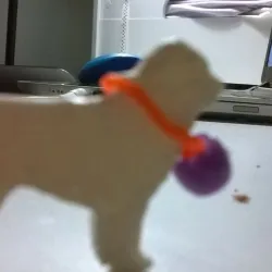 Saint Bernard