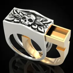 Secret Compartment ring