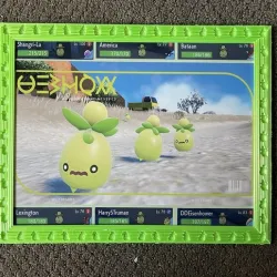 Smoliv Picture Frame