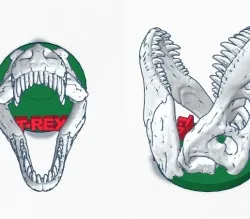 T-Rex Pen Holder