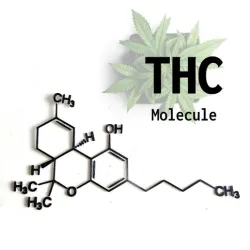 THC Molecule