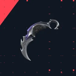 VALORANT KARAMBIT REAVER