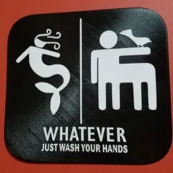 Whatever Just Wash Your Hands