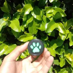 YOYO Catnoir-LadyBug