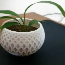 3D Printed Indoor Planter