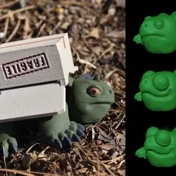 Articulated Box Turtle