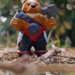 bear warrior