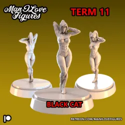 Blackcat Mini