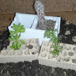 Brick pot. Seedbed. Cave for fish. Aquarium
