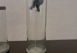 cascade of smoke