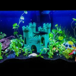 Castle Del Atlantis