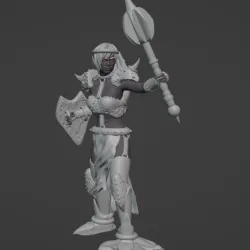 Dark Elf Cleric