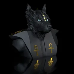 Dog Aussi, Border-Anubis -Evil looking