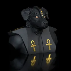 Dog Aussi/Border-Anubis variant II nice looking