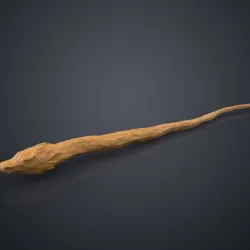 Dragon Heartstring's Wand