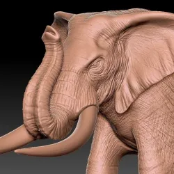 Elephant