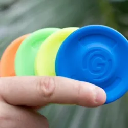 Gravity disc
